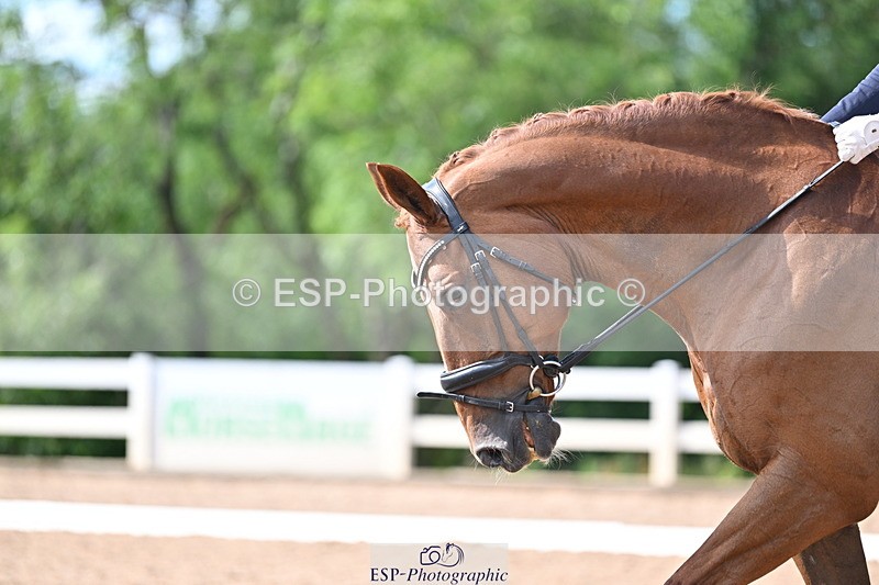 240622A-165040-12967 - Cls 40 BD FEI Intermediate I