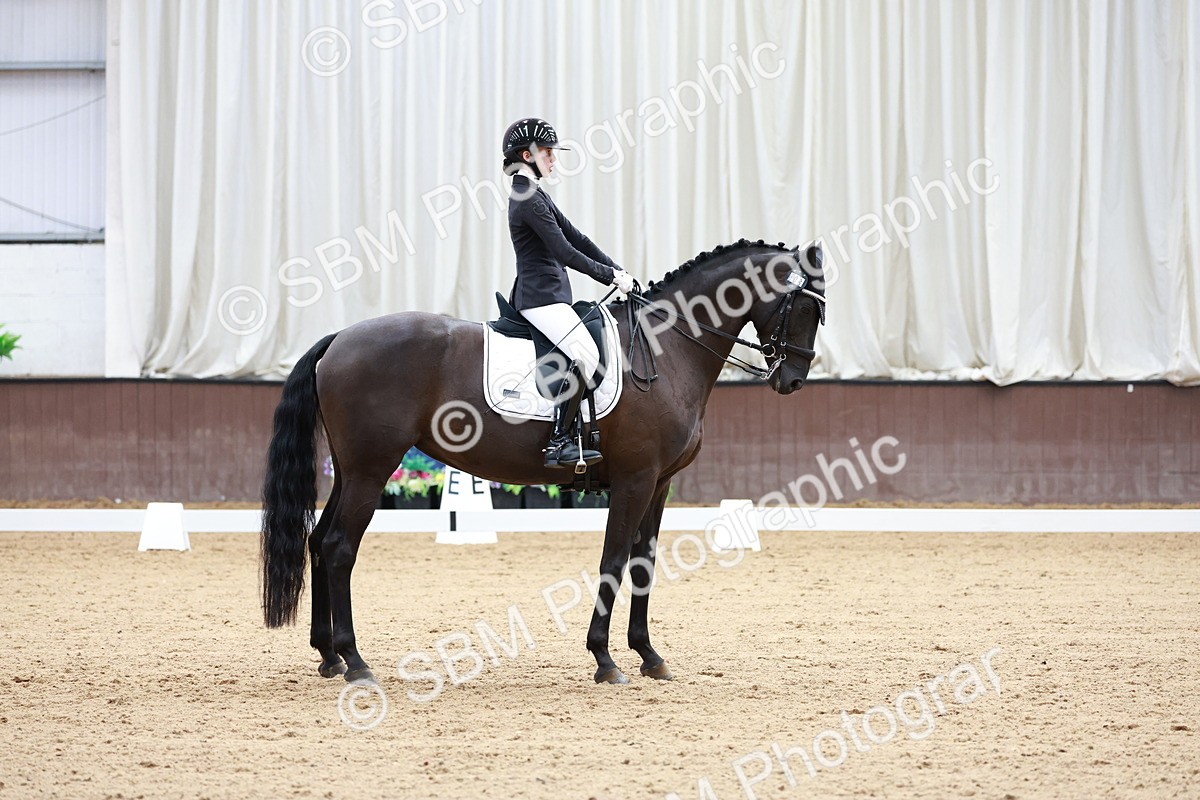 SBM_017731 - Class 15 - FEI Junior