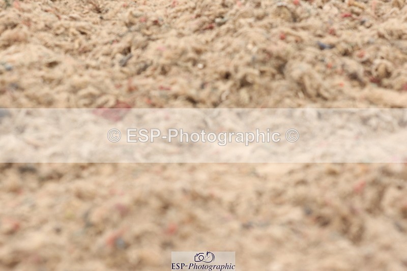 240622A-135221-11859 - Cls 29 BD Elementary 45