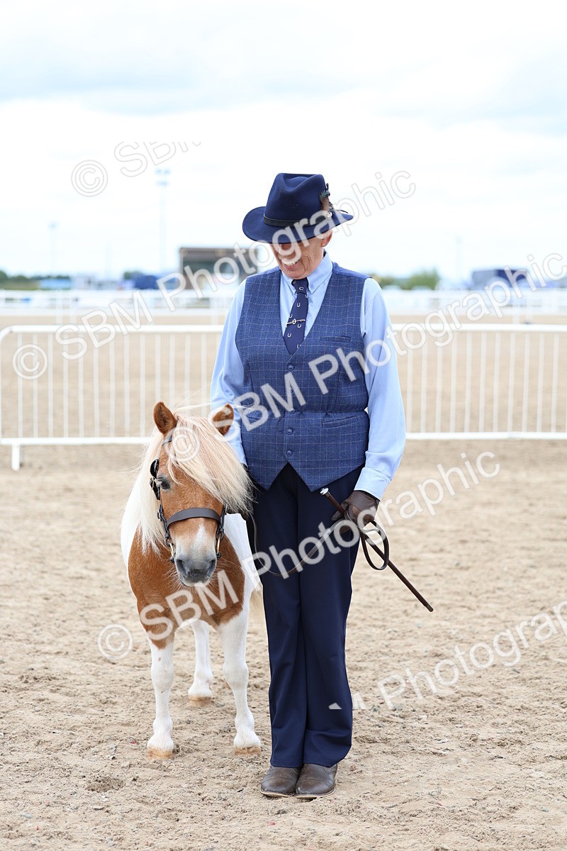 SBM_05924 - Class 29 - IH Veteran Pony