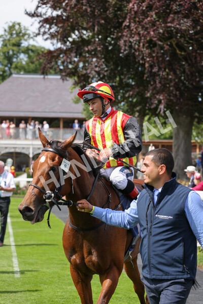 yr08072022r2-40 - Race 2 2.40pm William Hill Summer Stakes