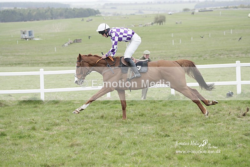 PtP 260323 0938 - New Forest Hounds Point-to-Point Larkhill 26/03/23