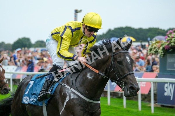080925-Race 1-Proud Nation-7558 - Race 1 2.30pm Enter ITV7 For Free Confined EBF Maiden Stakes