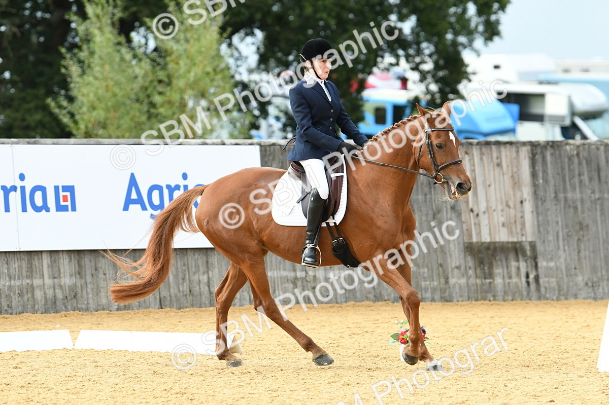 SBM_11013 - D28 Elementary Taster Elementary 42