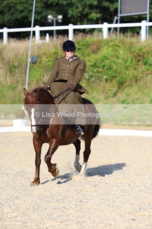 3E7A3467 - Class 2: Intro 1 2024 Section B