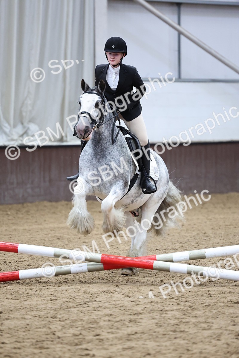 SBM_006909 - Class 1 - 40cm showjumping