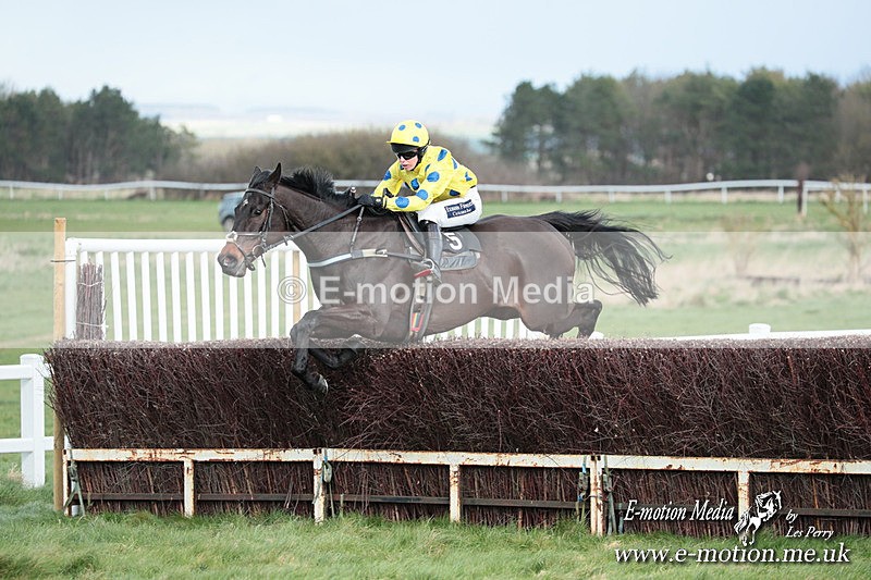 PtP 230324 424 - Tedworth Hunt PtP Larkhill Raccourse 23rd March 2024