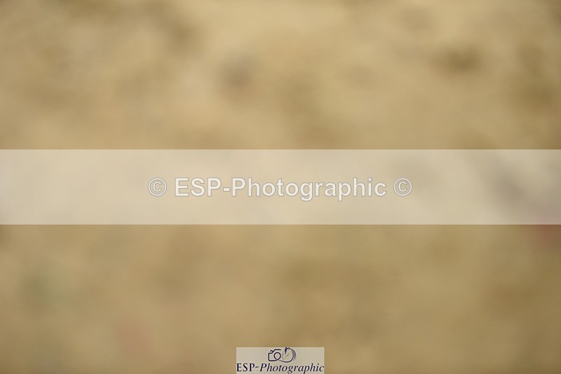 231001-122952-02404 - Cls 2 80cm 12.20 to End