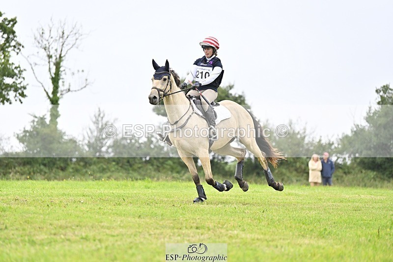 240831A-151611-04457 - 210-Zara.Head-FOURFIELDS.X.FAKTOR