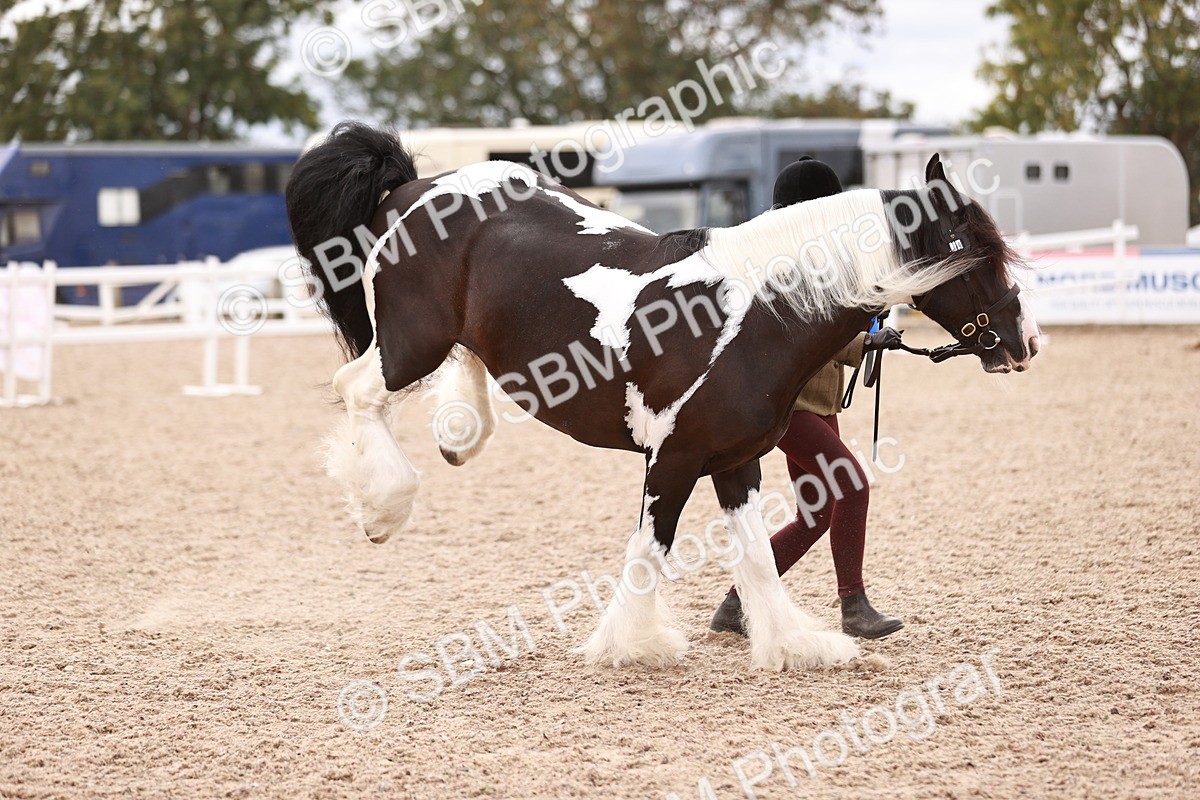 SBM_18455 - Class 419 - Best Maine and Tail - Jnr