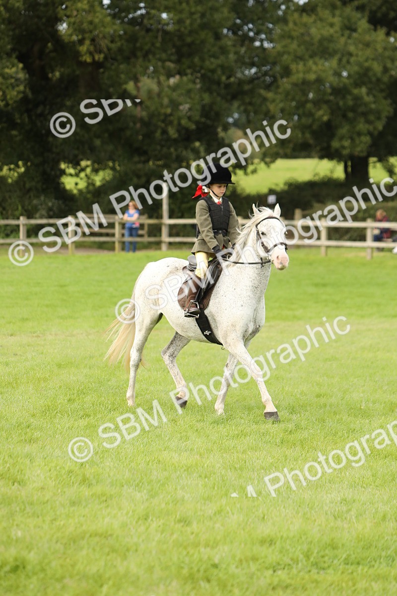 SBM_71602 - S41 - Ridden Equitation (Best Rider)