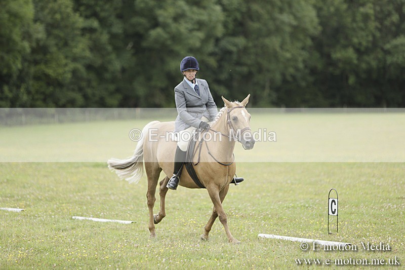 BVR160717-1202 - Class 2 Dressage 16/07/17
