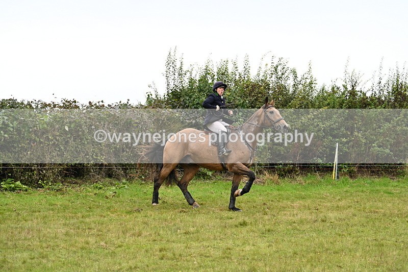 WJ7_4213 - Camera 1 Line 2