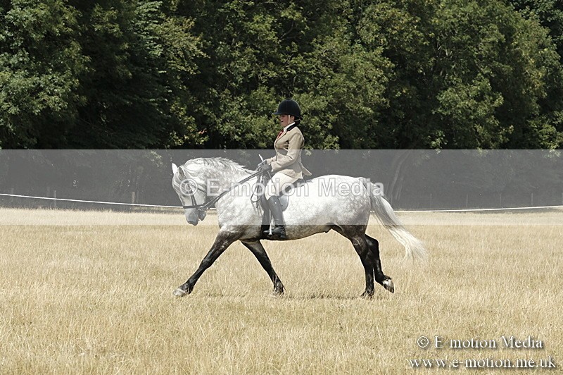 _PJP5976 - BVRC Show 2018 Ring 1