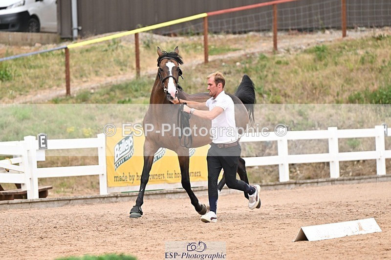 250716-161723-02545 - Trot Up 3.30 to 4.30