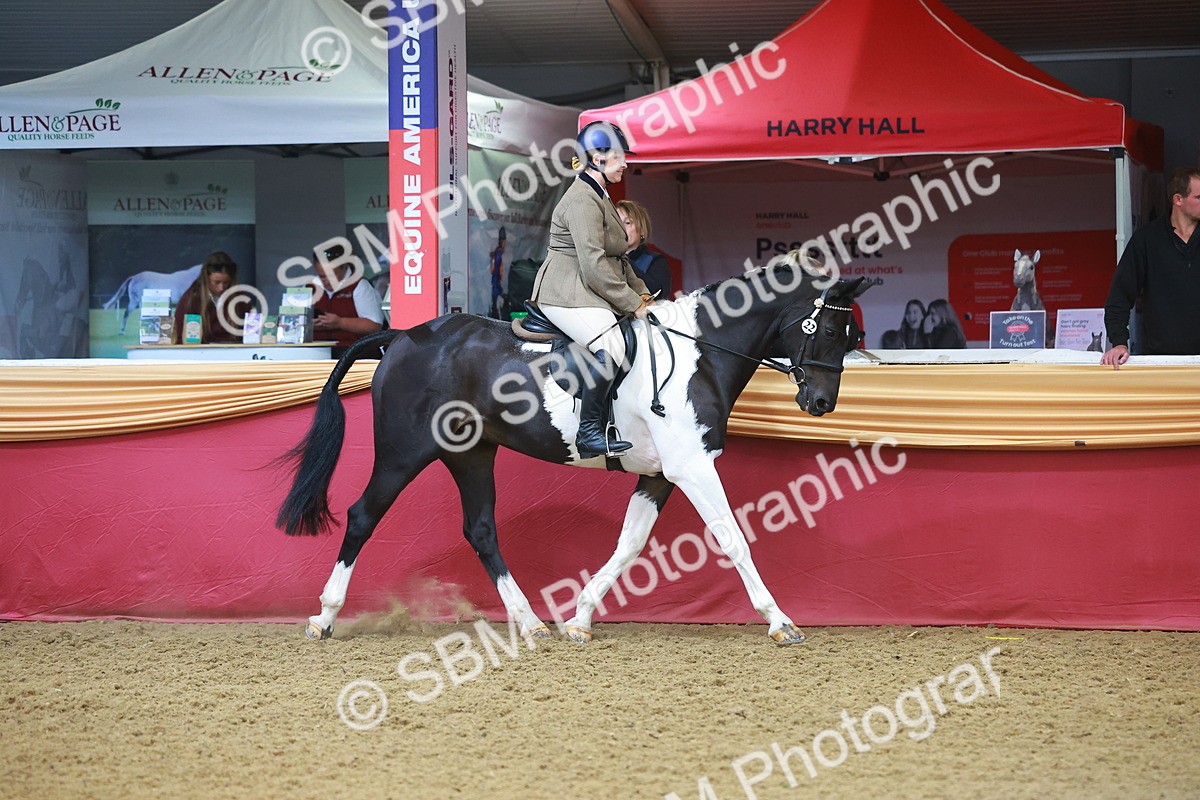 SBM_09613 - Class 102 - HOYS Veteran Qualifier - Ridden Veteran