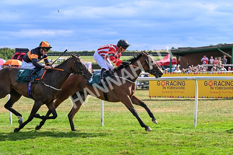 220726-Race 6-Barmyblade-0288 - Race 6 16.42pm Racing Again 4th August Handicap