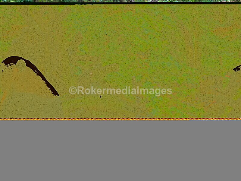 CHINA__0048 - China 2019