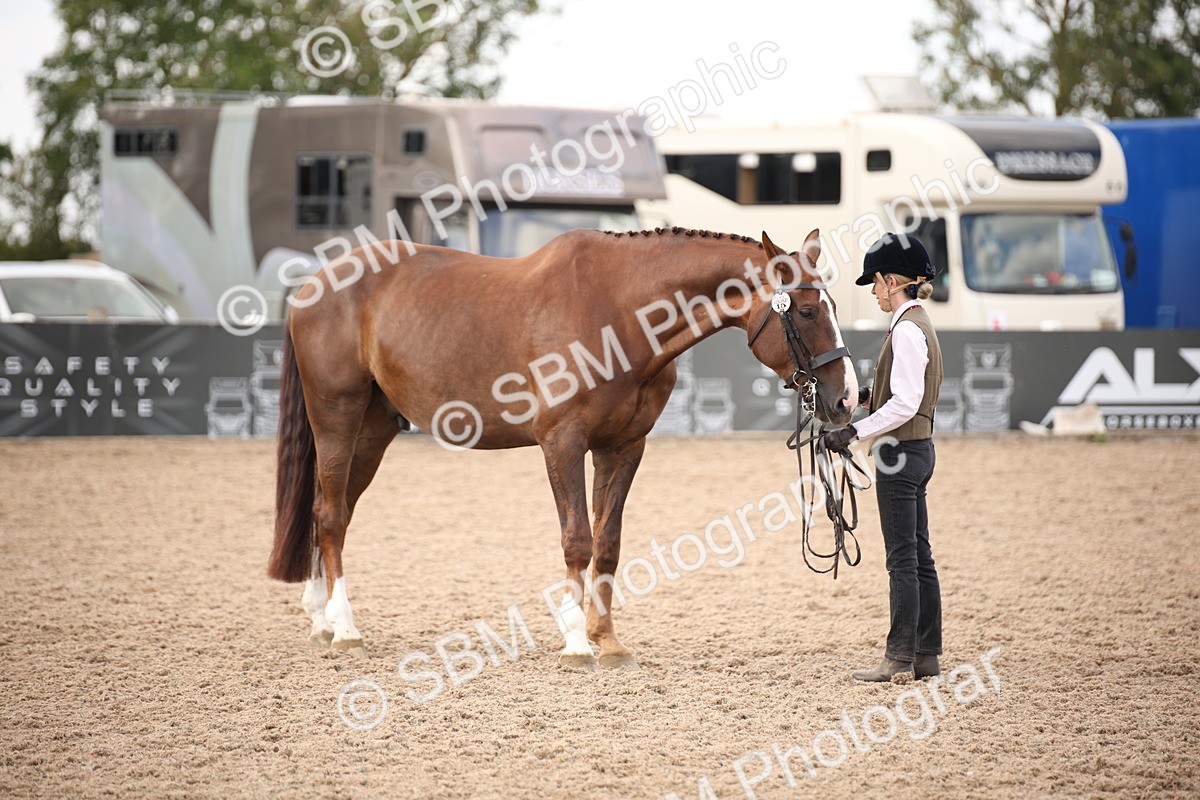 SBM_08211 - Class 27 - IH Competition Horse-Pony