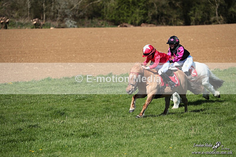 Shet 060426 166 - Shetland Pony Racing Paxford Races Easter Mon 06/04/26