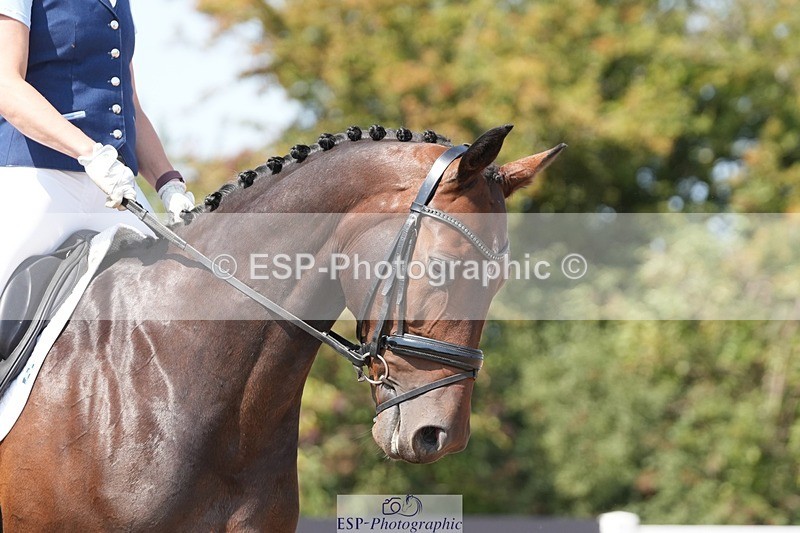 250817-125851-09537 - 052-Marcela.PomphreyLinkeltje.DE.J