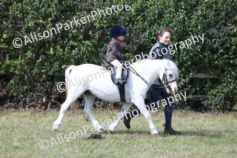 20250831-3274 - Class 24 - Absolute Beginners Pony