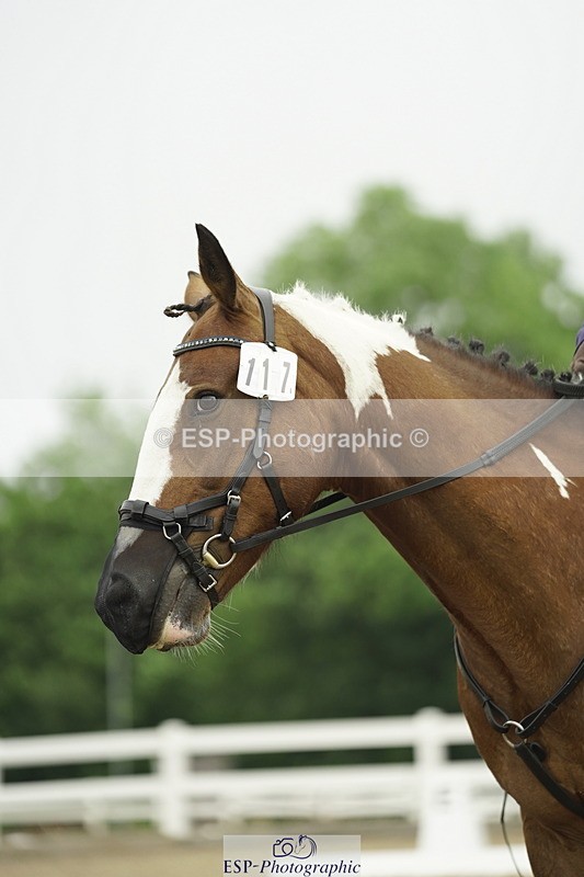 230708A-104144-00685 - Novice 30