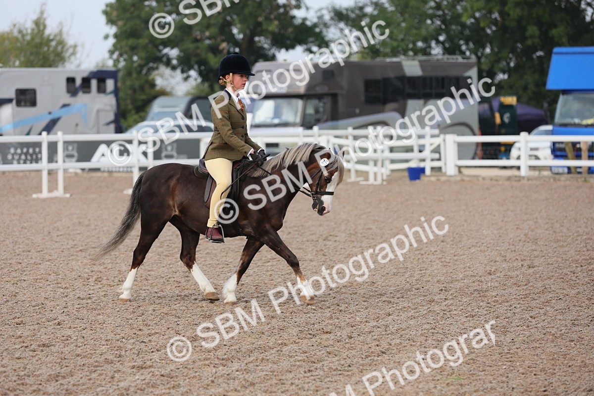 SBM_09613 - Class 301 Ridden M&M -Small Breeds