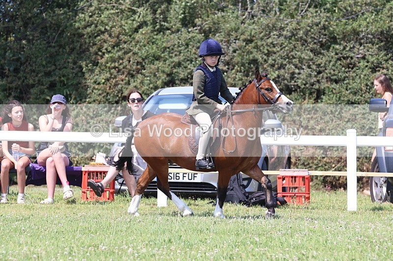 JPP_2333 - Class 20: Tiny Tots Working Hunter Pony