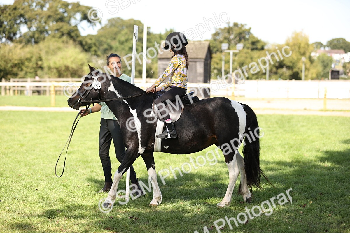 SBM_23006 - S4 - Have a Go at Working Equitation