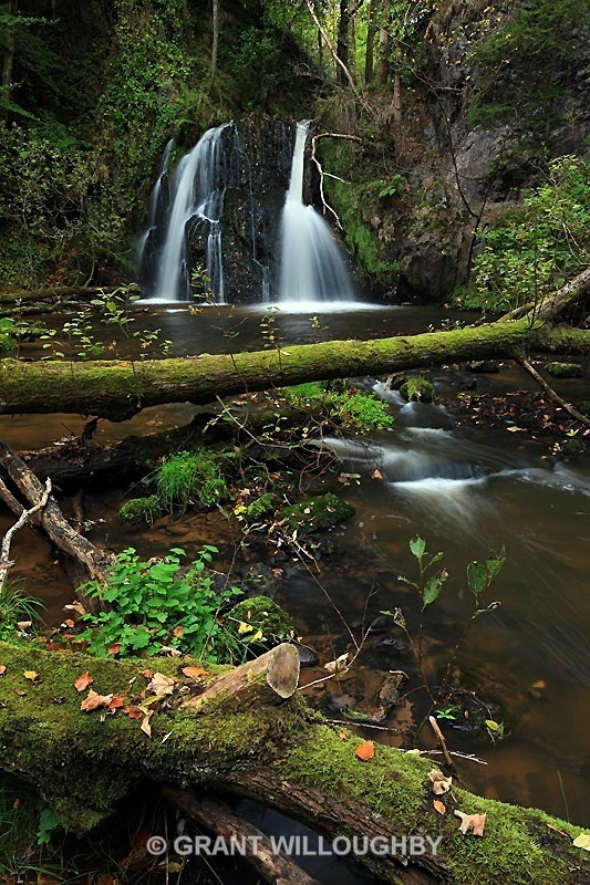 Fairy glen waterfall Ross Shire - Woods Trees Gorges and Waterfalls