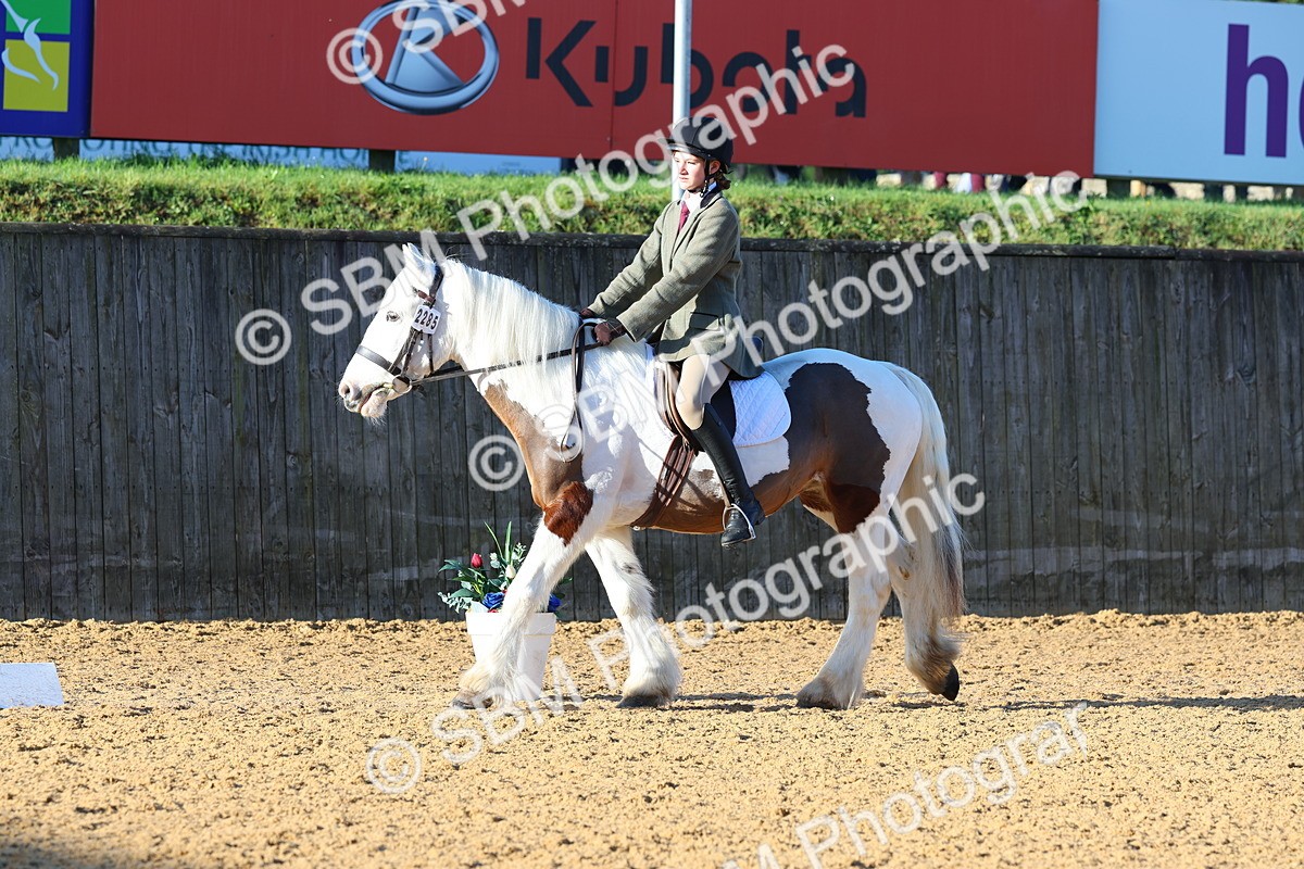 SBM_33808 - D27 - Have a Go