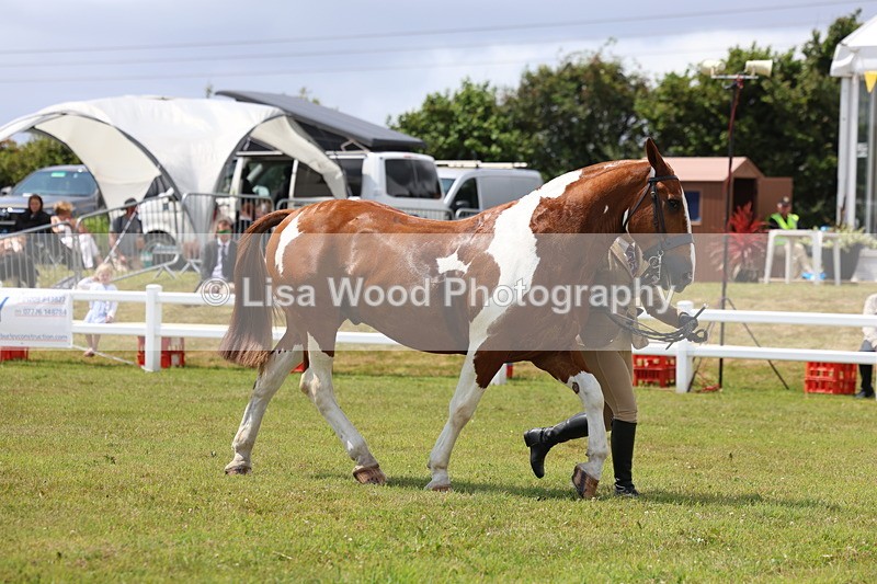 3E7A2128 - Class 10: Open Cob