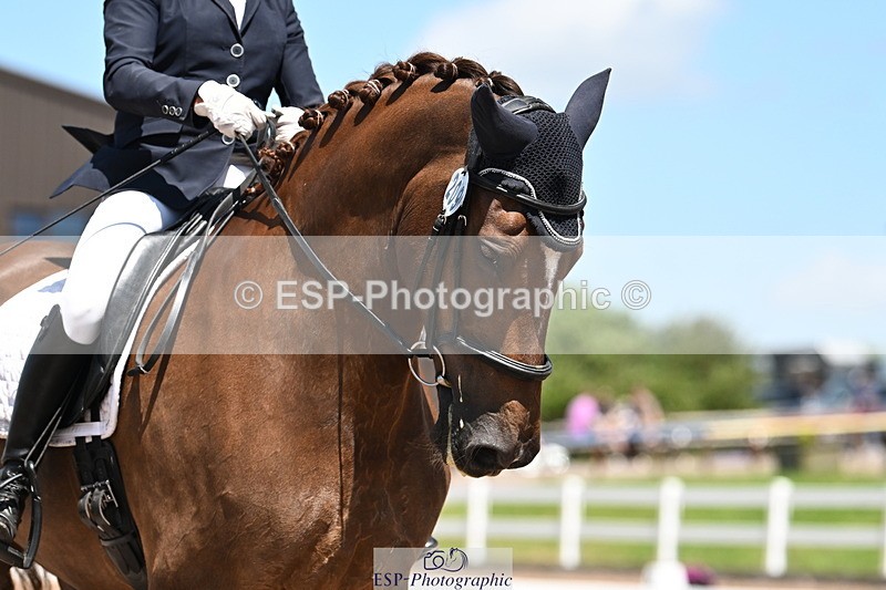 240621A-134527-04144 - Cls 8 BD Elementary 53