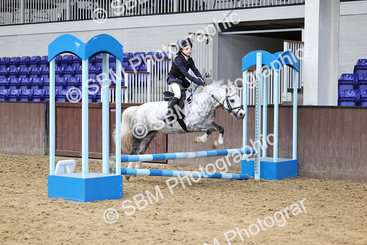 SBM_007734 - Class 3 - 60cm showjumping