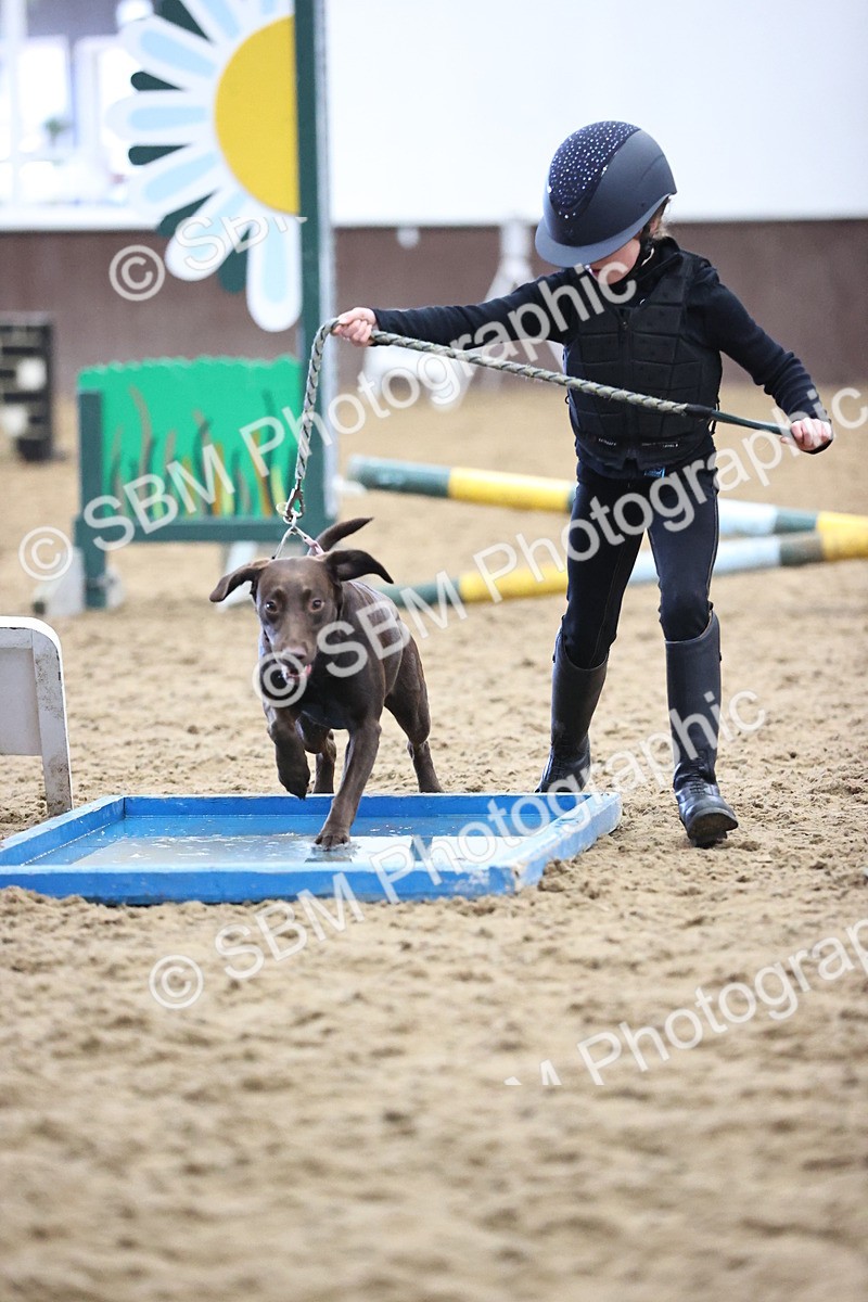 SBM_001393 - Class 3 - Horse & Hound 60cm
