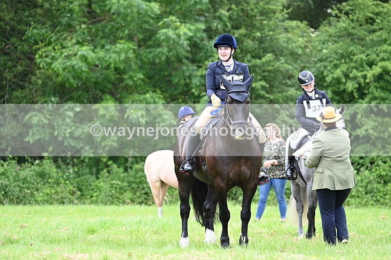 WJ7_4230 - Class 14A Handsome Gelding