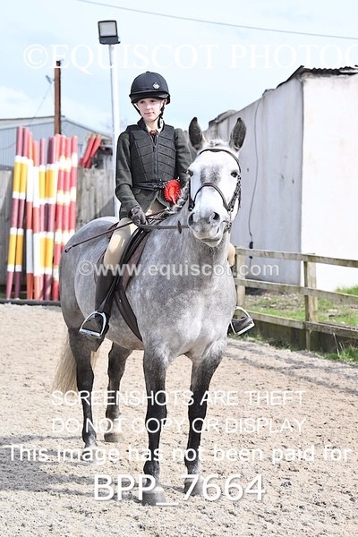 BPP_7664 - RING 1  (RIDDEN HORSES / IN HAND / VETERAN ETC)