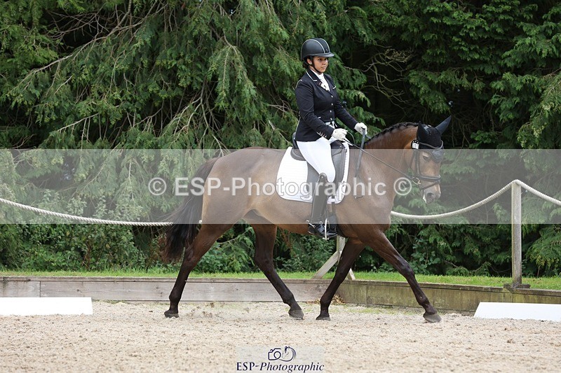 230812-143913-04465 - Cls 5 Novice Bronze 13.40 to 14.45 break