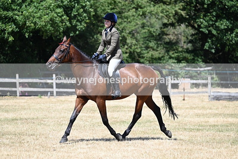 WJ7_3064 - Class 7 Riding Club Show Horse