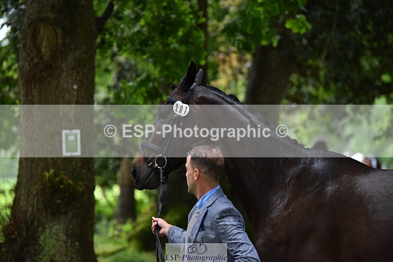 240522-162102-00853 - 201-PRIMITIVE_FUNTIME-Roberto_Scalisi