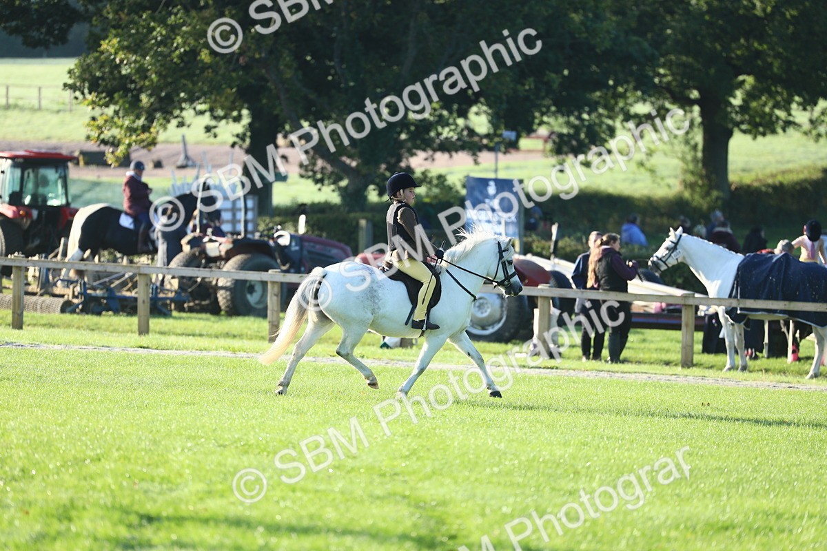 SBM_31797 - S28 - Nursery Stakes Working Hunter Pony