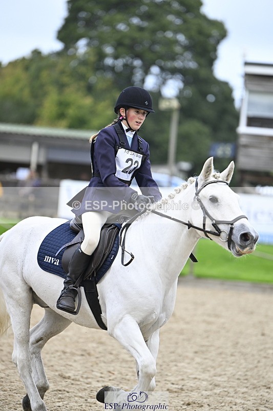 251005A-130531-04044 - Cls 08 Mini 70-75cm