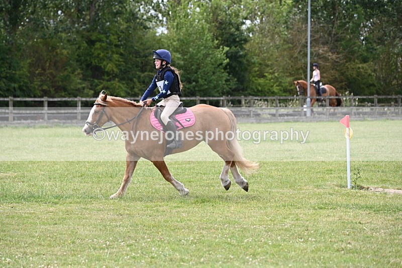 WJ6_6951 - 80cm XC Pairs