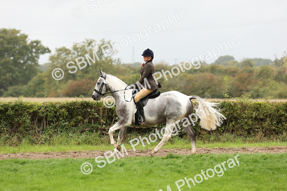 SBM_69894 - S68 - Other Coloured Horse Ridden