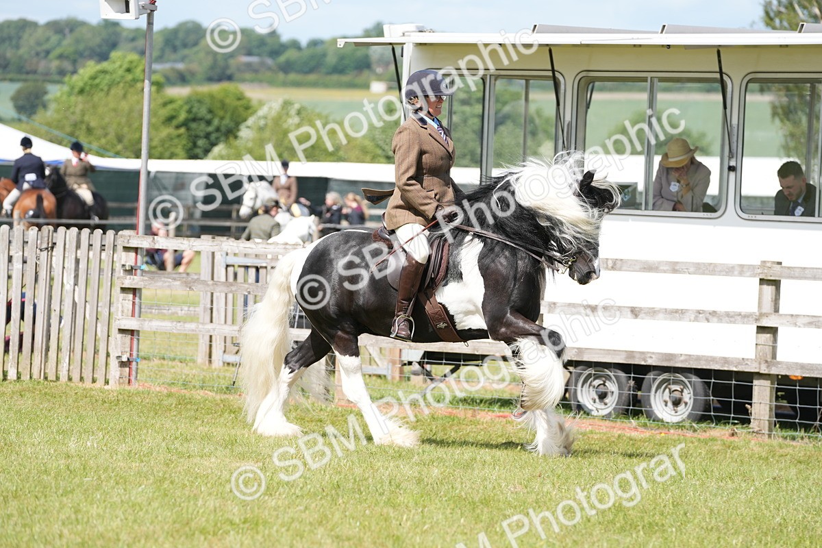SBM_17118 - Class 107-108 - LIHS BSPS Performance Coloured Horse Pony