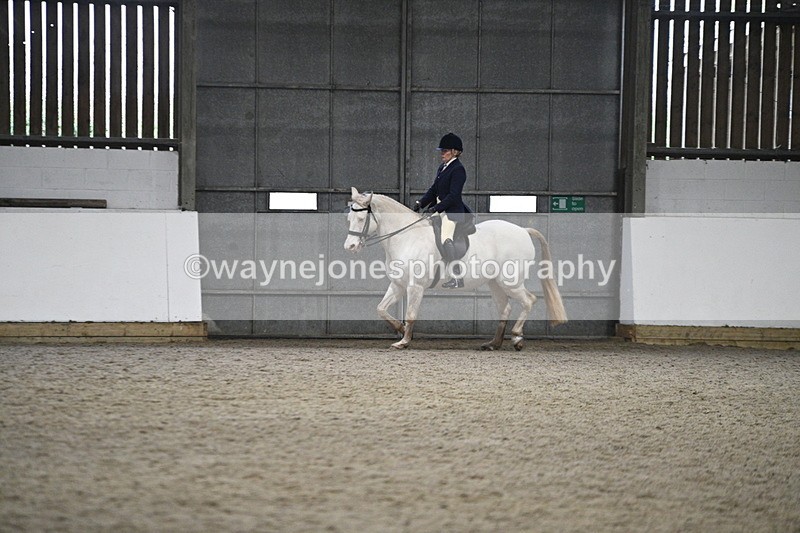 WJ7_3618 - Class 16 Ridden Coloured/ Odd Coloured