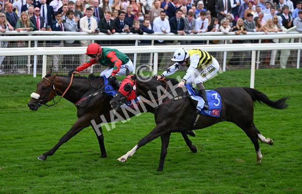230825-230 Northern Ticker - Race 5 4.10pm Sky Bet Constantine Handicap