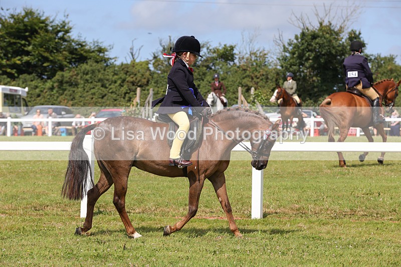 1X9A3810 - Plaited Mini Ridden Championship