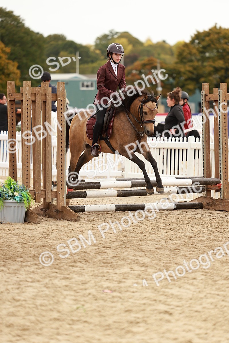 SBM_57845 - J11 - Junior Pony 50cm Championship